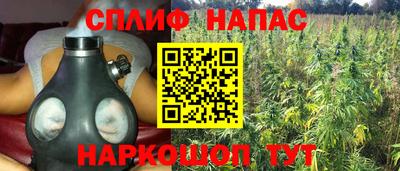 PSILOCYBIN Можайск