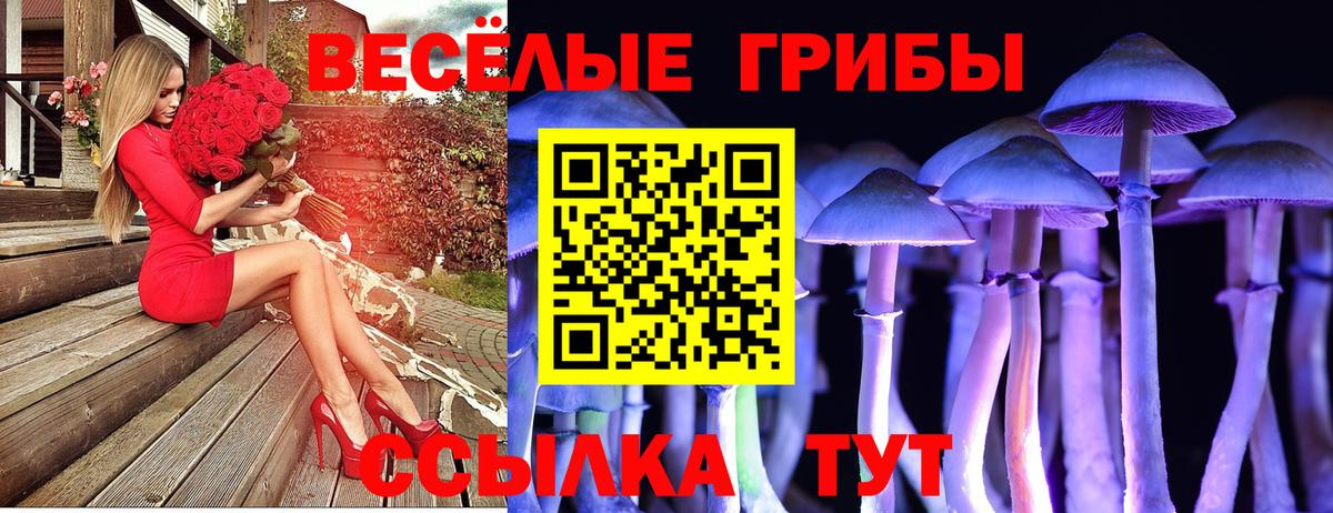 Воркута  Галлюциногенные грибы мухоморы  купить наркоту  Вход с VPN 